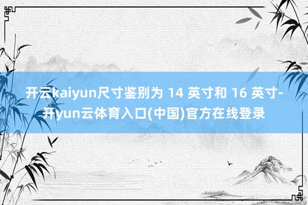 开云kaiyun尺寸鉴别为 14 英寸和 16 英寸-开yun云体育入口(中国)官方在线登录